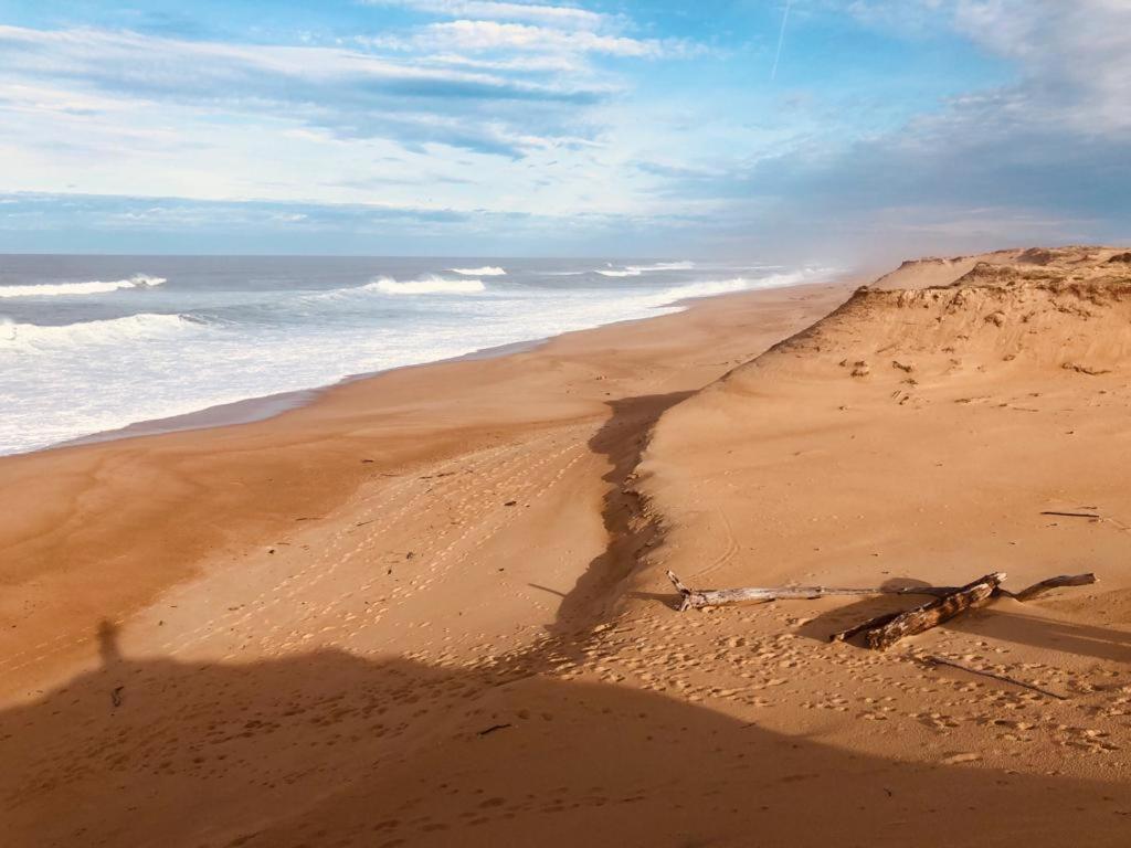 Joli Appartement A 300 M De La Plage لابينيه المظهر الخارجي الصورة
